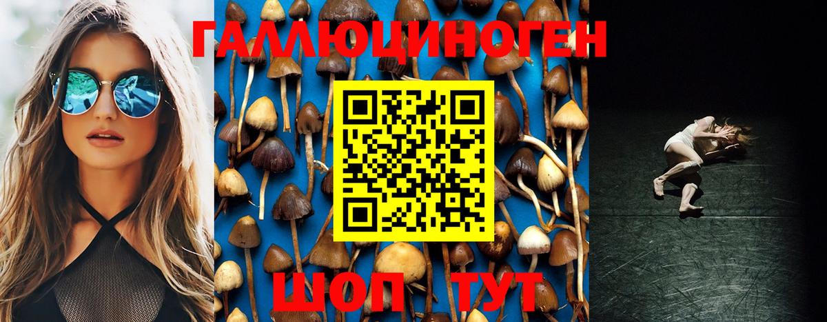 Галлюциногенные грибы Psilocybine cubensis  Вход с VPN  Галлюциногенные грибы Psilocybe  Фролово 